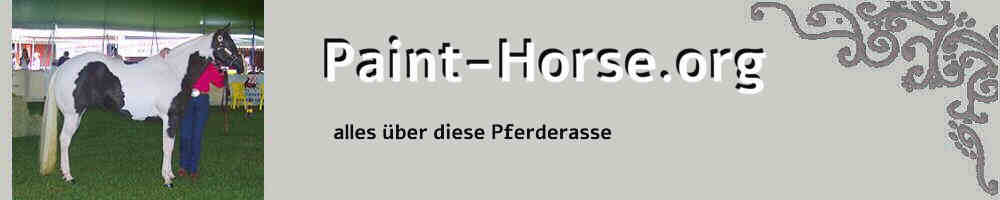 Informationen zum Paint Horse Herkunft Aussehen Charakter Geschichte Pflege